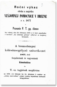 Ročný výkaz 1877